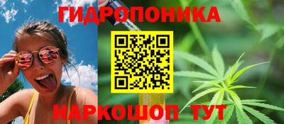 МДПВ Свободный