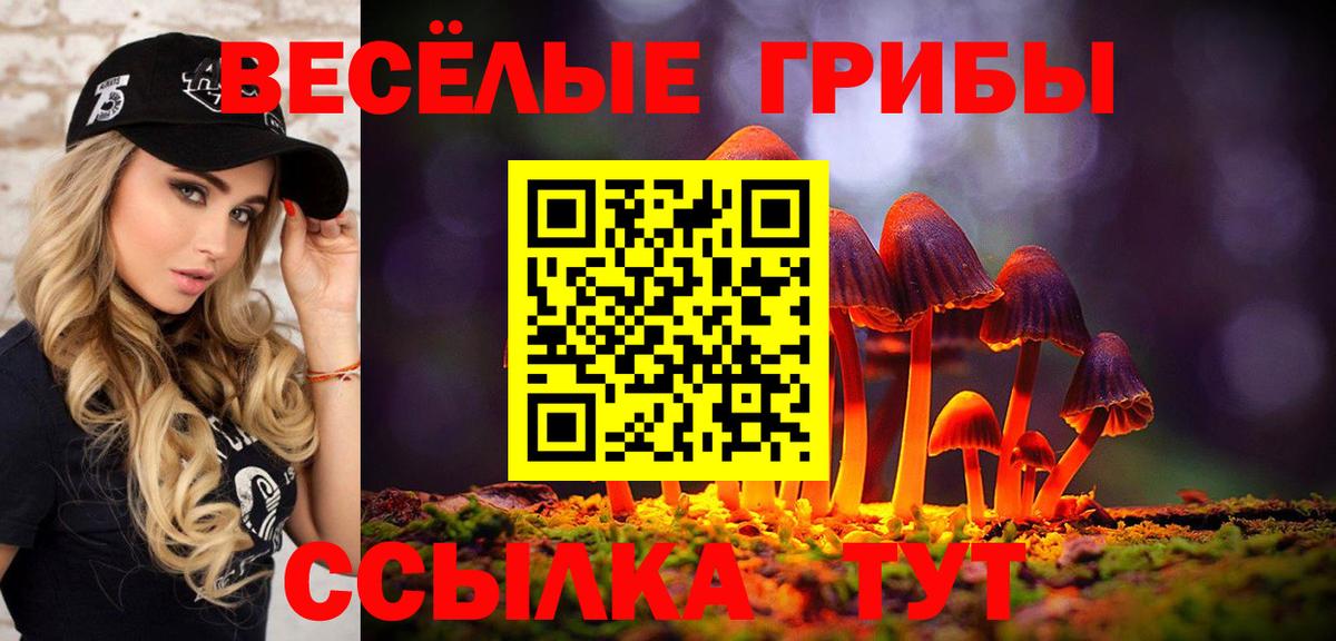 Псилоцибиновые грибы ЛСД Рославль